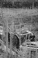 burnt-down-house-011