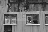 burnt-down-house-015