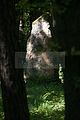 freilufttheater-010