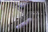 gaestehaus-des-ddr-ministerrates-04-2016-093
