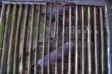 gaestehaus-des-ddr-ministerrates-04-2016-094