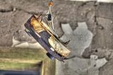 gaestehaus-des-ddr-ministerrates-04-2016-100