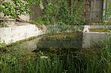jena-goeschwitz-119