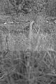 jena-goeschwitz-019