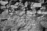 jena-goeschwitz-026