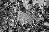 jena-goeschwitz-105