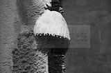 jena-goeschwitz-118