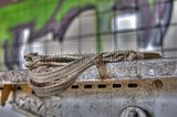 heilanstalt-gera-milbitz-06-2012-030