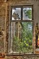 heilanstalt-gera-milbitz-06-2012-045