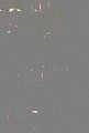 heilanstalt-gera-milbitz-06-2012-123
