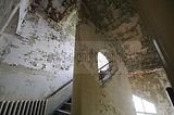 _JAD8097