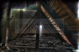 _JAD8125__26__27Enhancer
