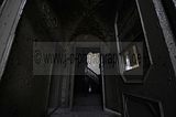 _JAD8145