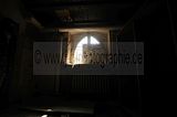 _JAD8173
