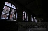 holzwaren-industrie-026