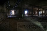 holzwaren-industrie-039
