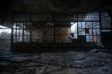 holzwaren-industrie-045
