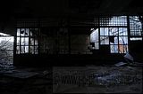 holzwaren-industrie-046