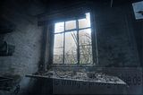 holzwaren-industrie-051