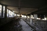 holzwaren-industrie-255
