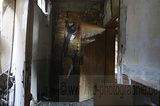 holzwaren-industrie-273