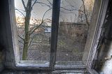 holzwaren-industrie-284
