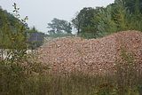 russische-garnission-13-09-2009-057