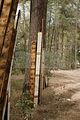russische-garnission-13-09-2009-075