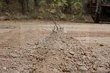 russische-garnission-13-09-2009-097