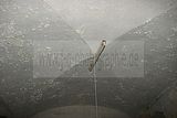 russische-garnission-13-09-2009-193