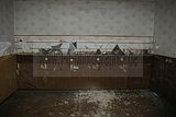 russische-garnission-13-09-2009-229