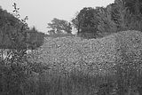 russische-garnission-13-09-2009-057