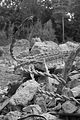 russische-garnission-13-09-2009-107