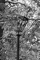 russische-garnission-13-09-2009-128