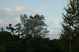 russische-garnission-20-09-2009-001