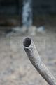 russische-garnission-20-09-2009-011