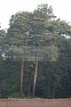 russische-garnission-20-09-2009-024