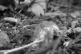 russische-garnission-20-09-2009-057