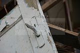 russische-garnission-29-11-2009-036