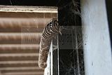 russische-garnission-29-11-2009-048