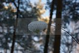 russische-garnission-20-12-2009-027