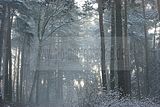 russische-garnission-20-12-2009-028
