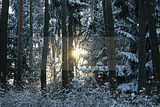 russische-garnission-20-12-2009-029