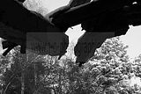 russische-garnission-20-12-2009-011