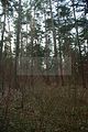 russische-garnission-27-12-2009-023
