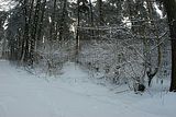russische-garnission-03-01-2010-013