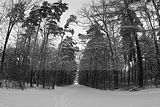 russische-garnission-03-01-2010-004