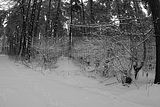 russische-garnission-03-01-2010-013