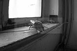 russische-garnission-03-01-2010-026
