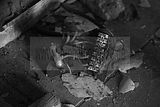 russische-garnission-16-01-2010-023